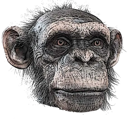 Mondo, the time-traveling chimp